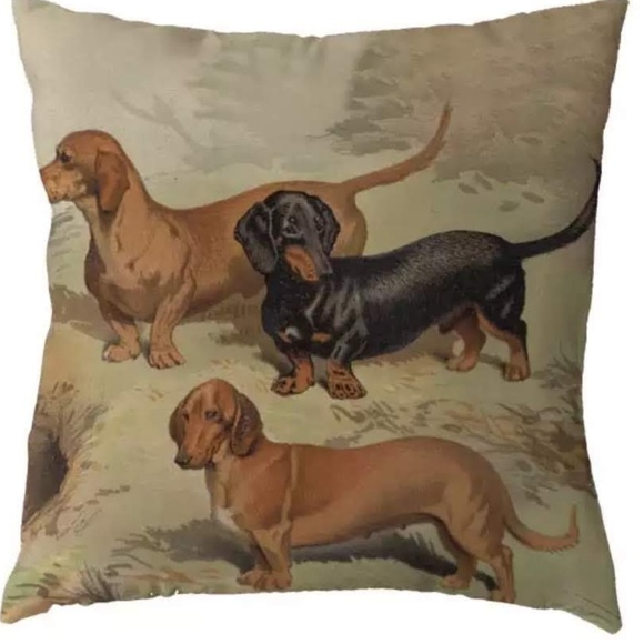 Other - Pillow Cover- NEW- Dachshund Dog